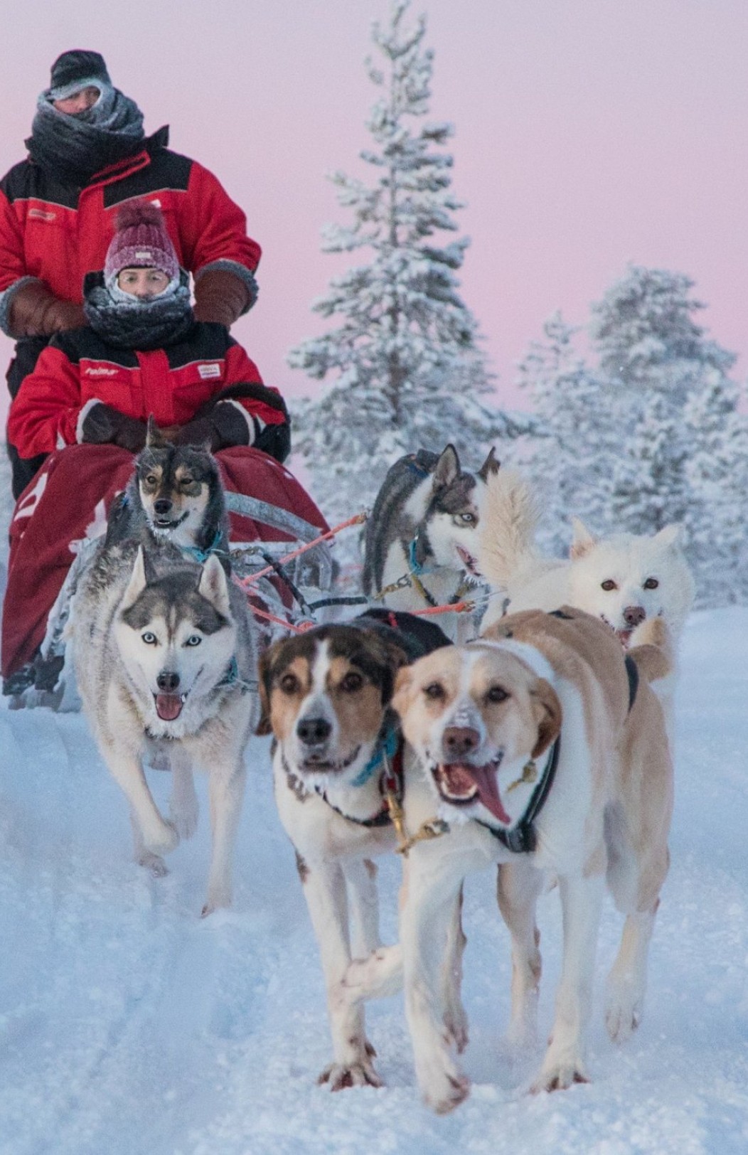 Lappland Winterabenteuer